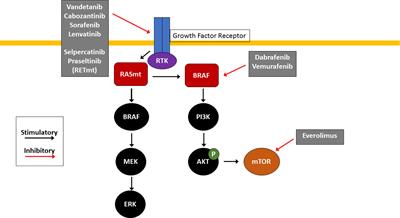 Perspectives on the Treatment of Advanced Thyroid Cancer: Approved Therapies, Resistance Mechanisms, and Future Directions